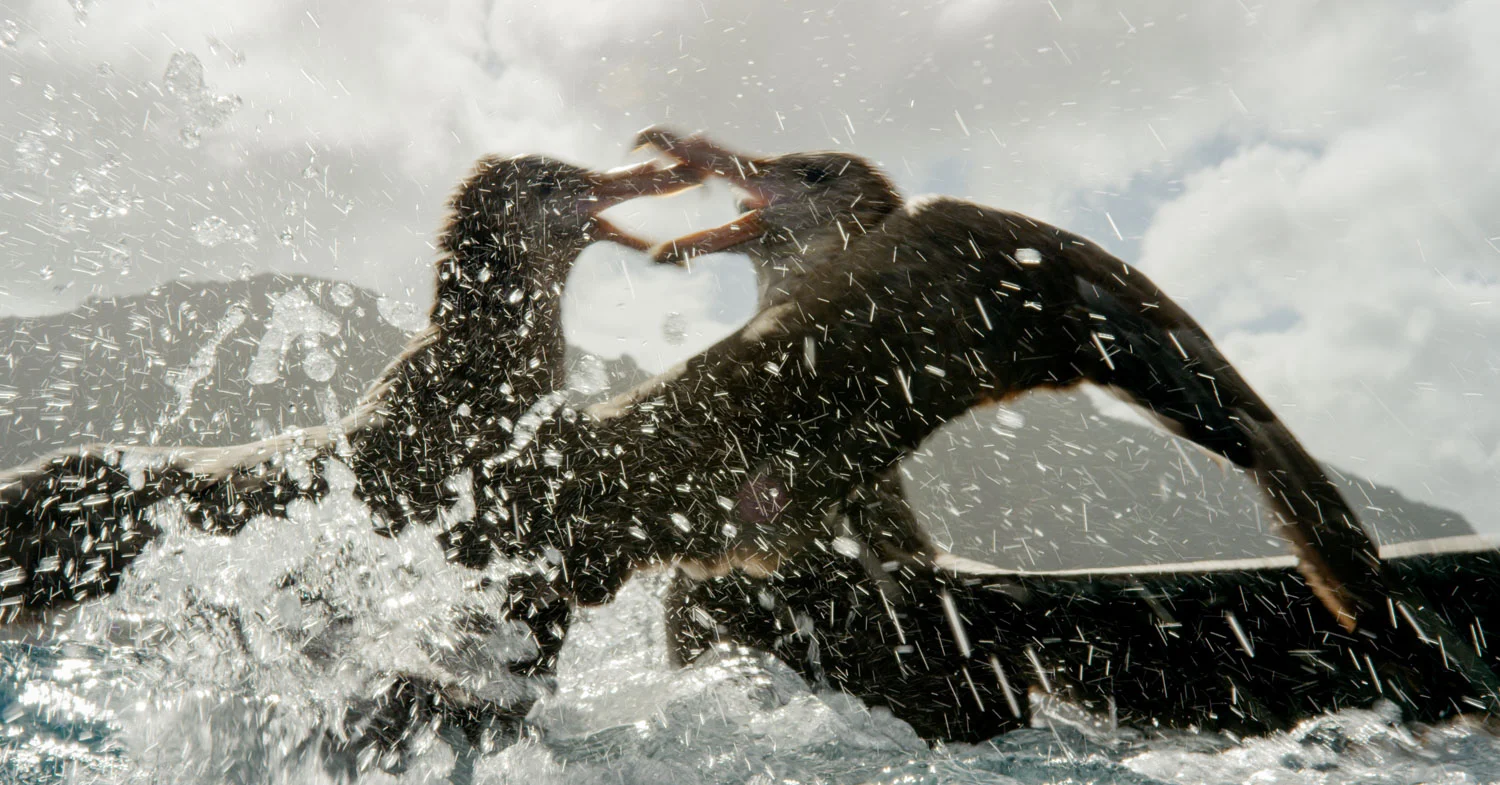 Roger Horrocks 01 Wildlife Cameraman National Geographic.jpg