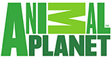 Animal-planet-logo copy.jpg