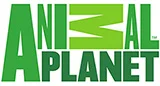 Animal-planet-logo copy.jpg
