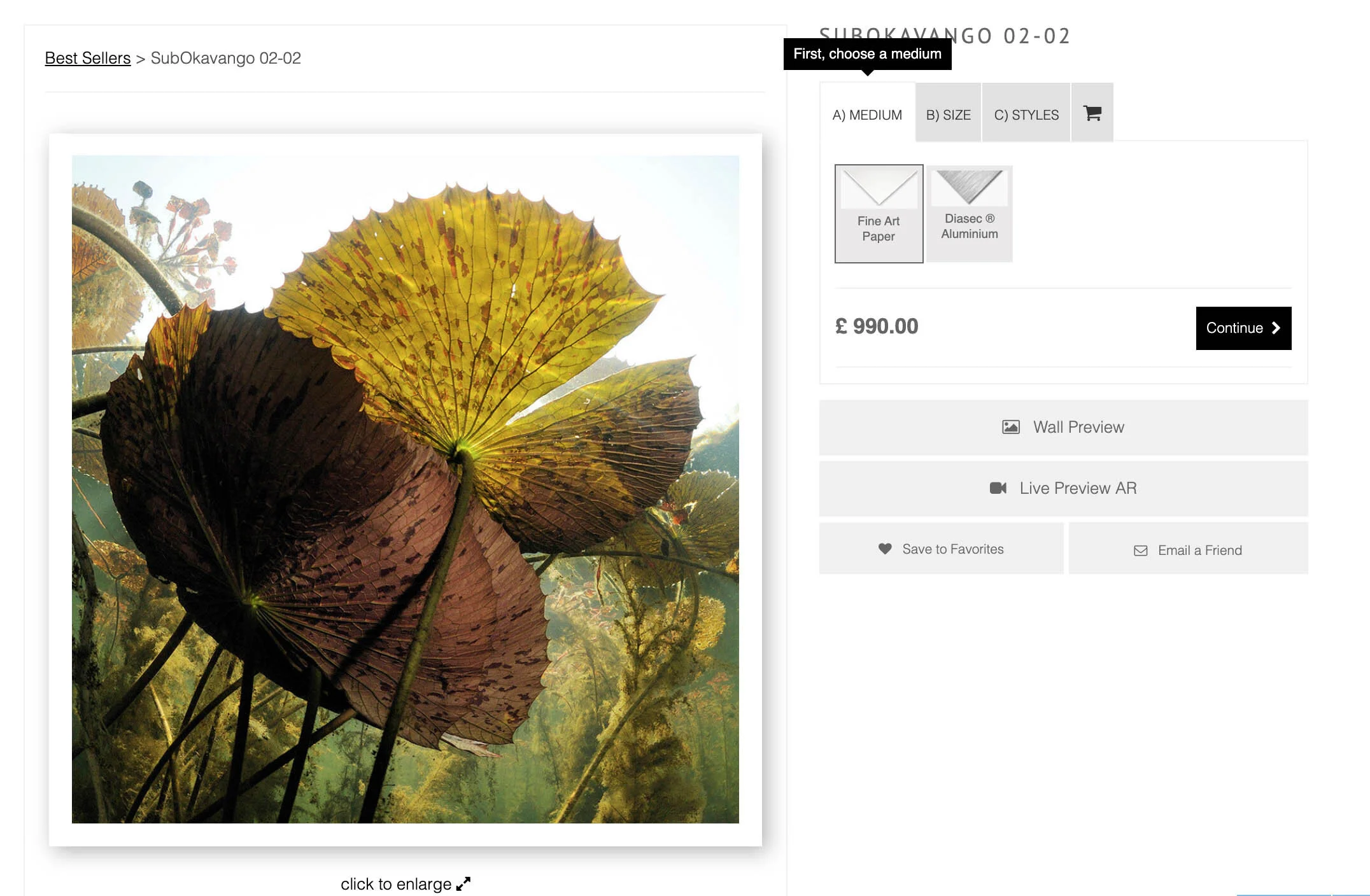 Functionality to specify type of print material and print size.