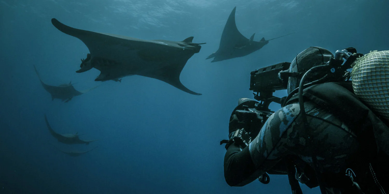 Roger+Horrocks+07+Wildlife+Cameraman+BBC+Blue+Planet+2+(1).jpg