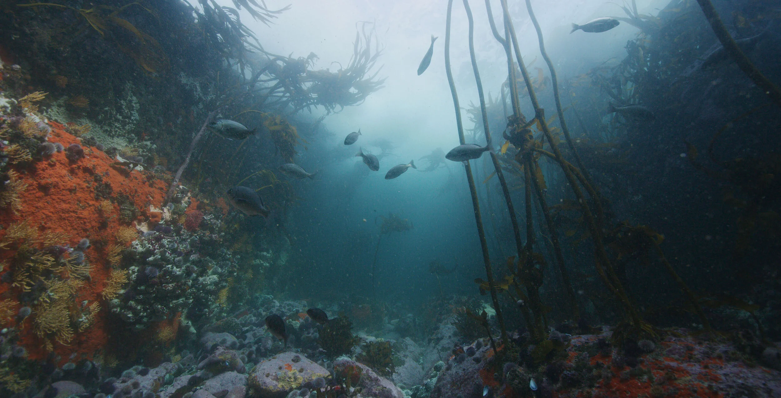 KF - A005_C011_1012BE_S000.0001701.jpg