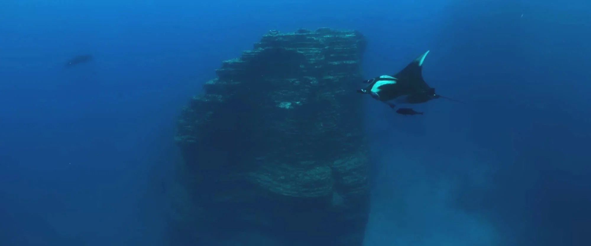 Underwater scene with a manta ray swimming near a large shipwreck in the ocean.