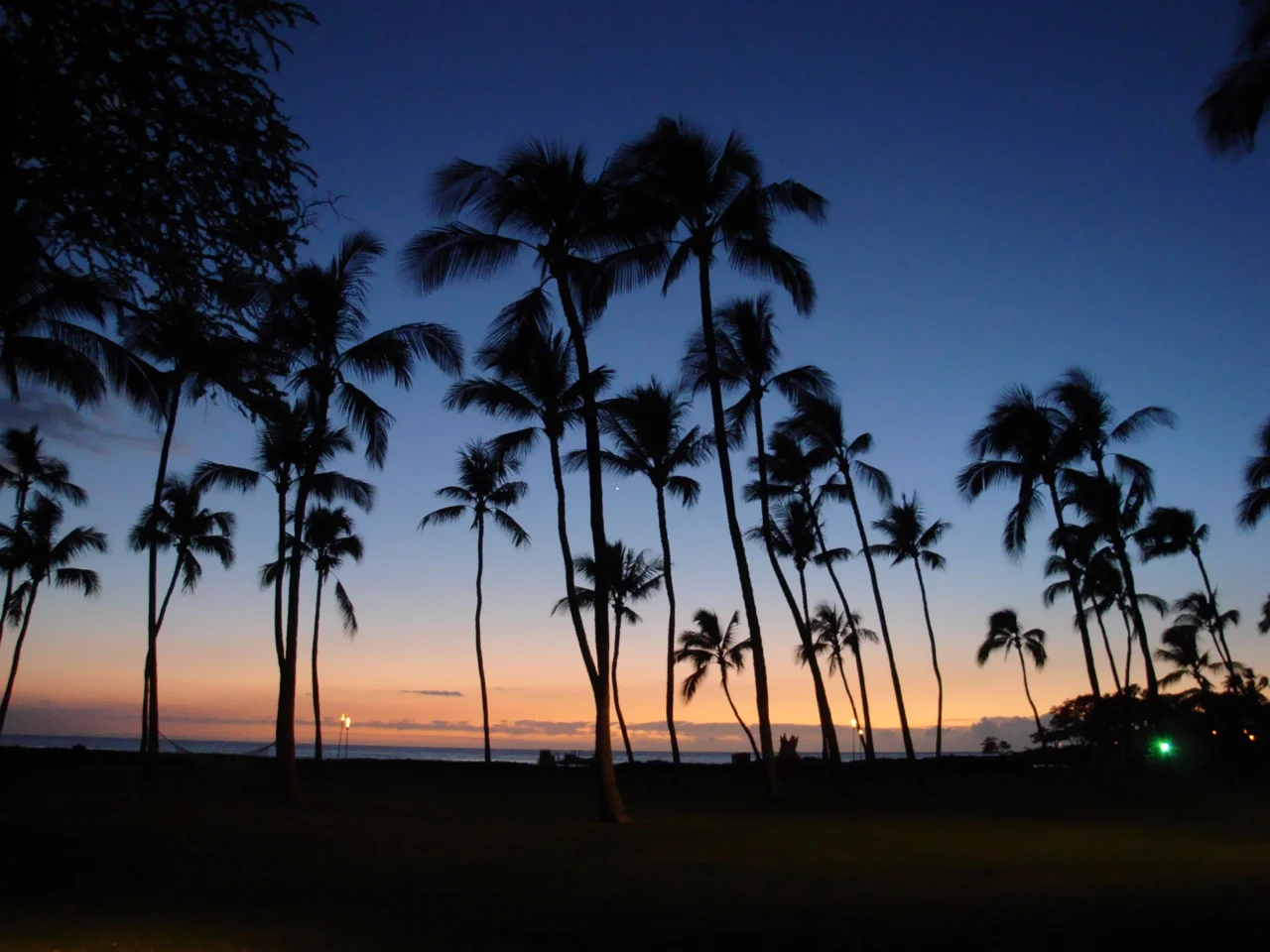 night beach.jpg