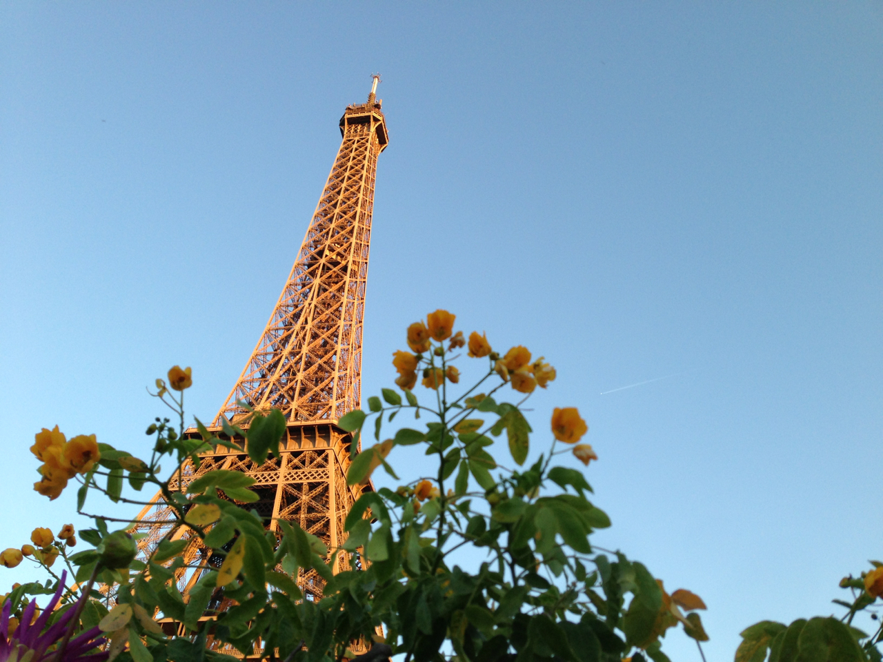 eiffel.jpg