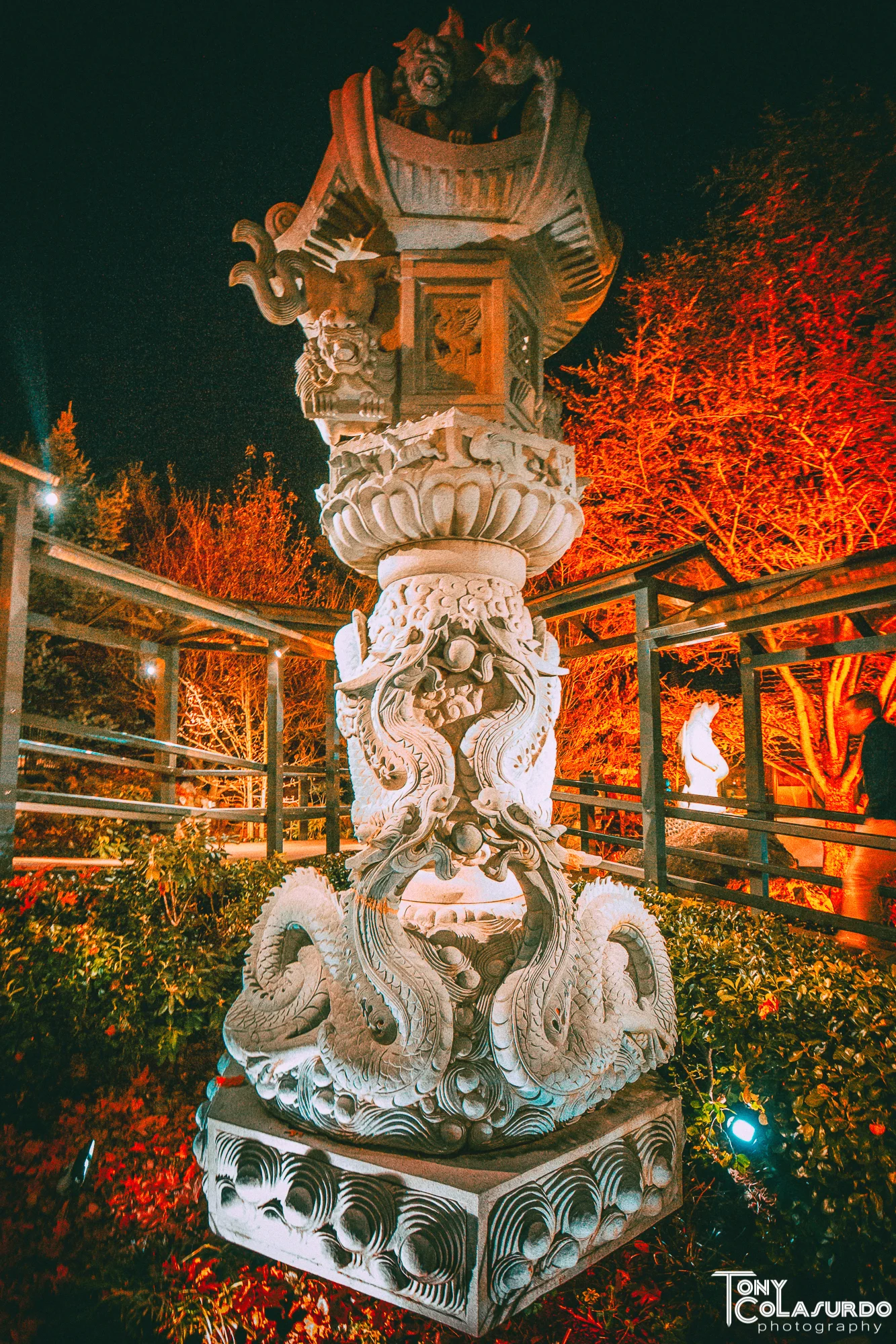 0G3A2837-Edit.jpg