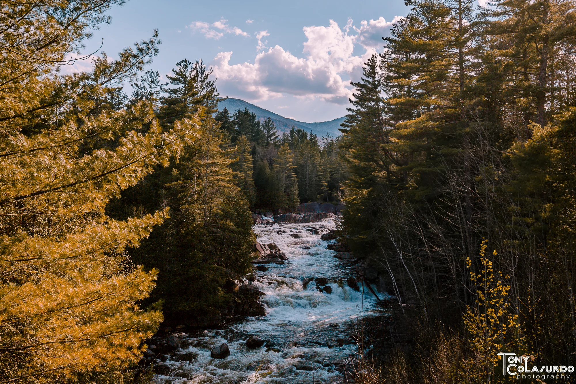 0G3A7019-HDR.JPG