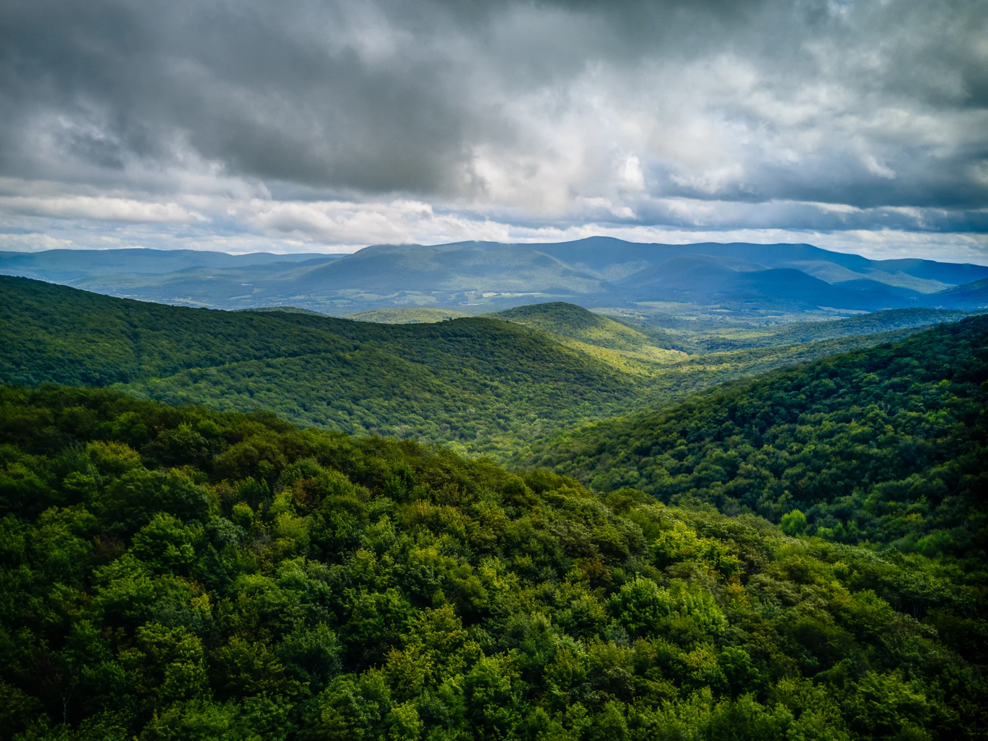 DJI_0006_7_8_fused.jpg