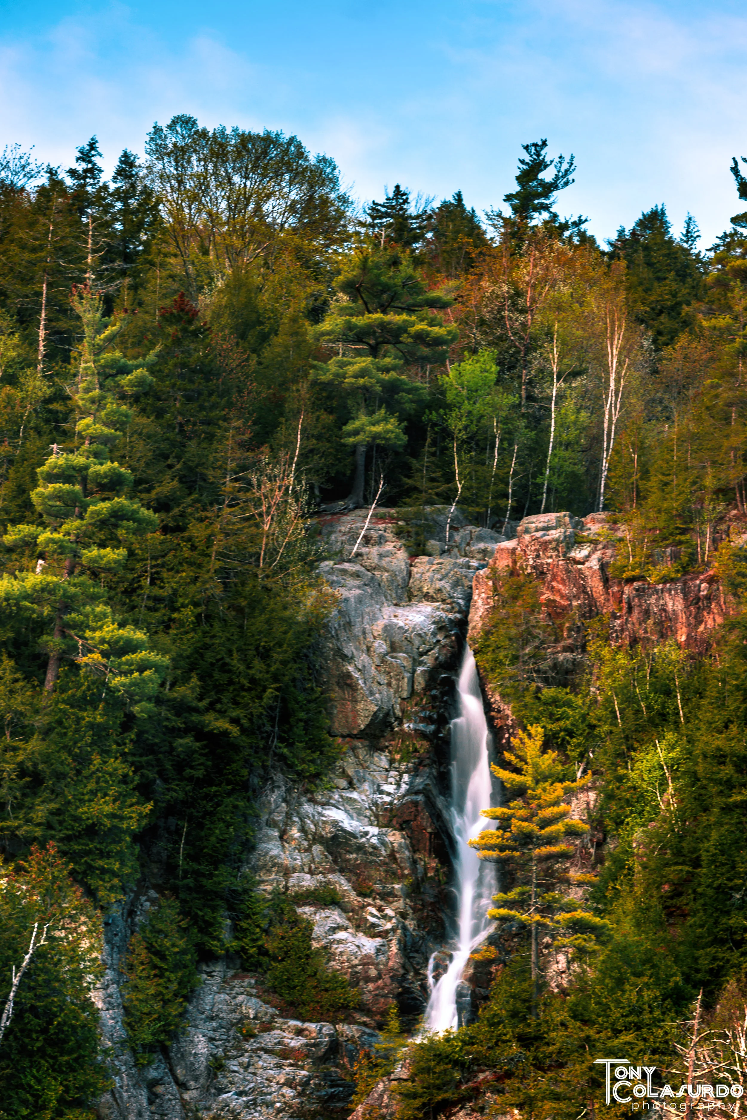 0G3A7253-Edit-2.JPG