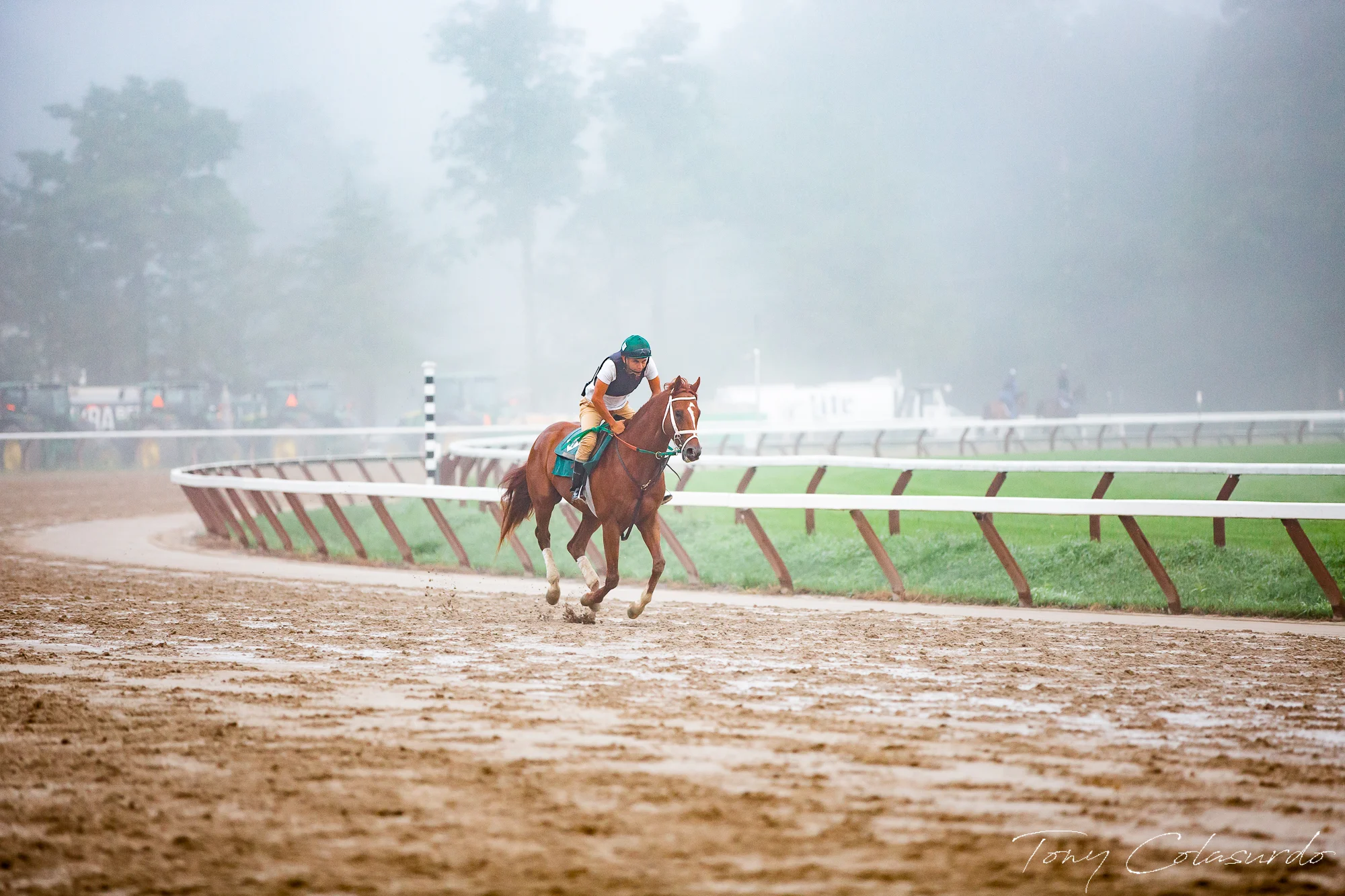 0G3A3049.JPG