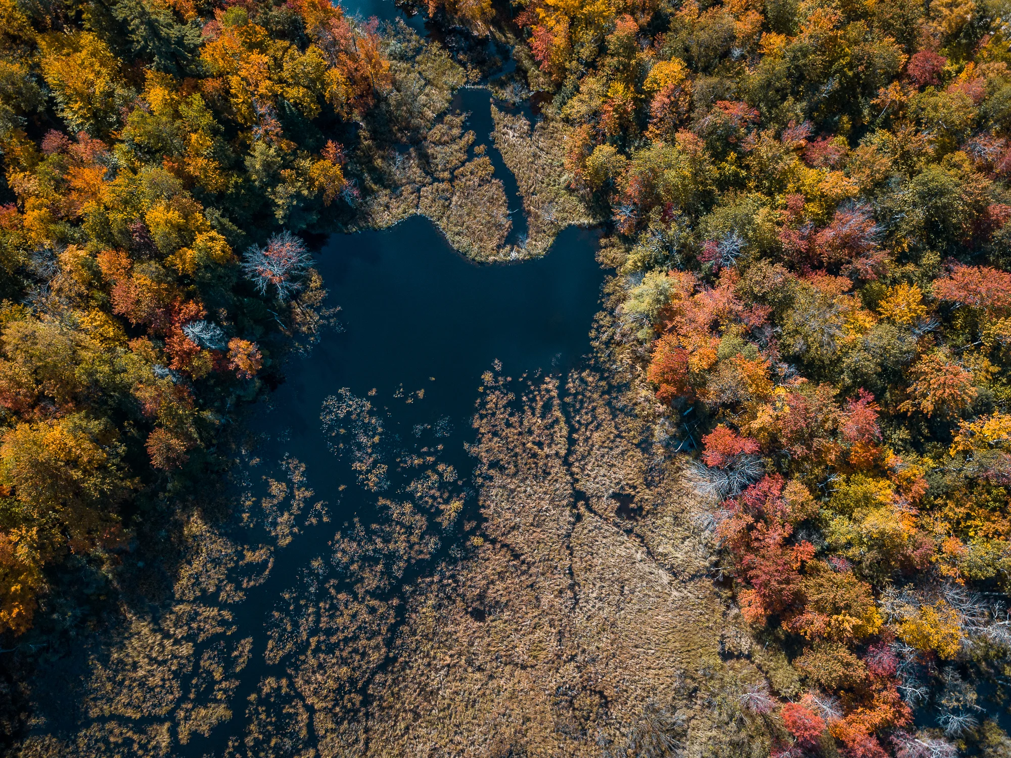 DJI_0179-HDR.JPG