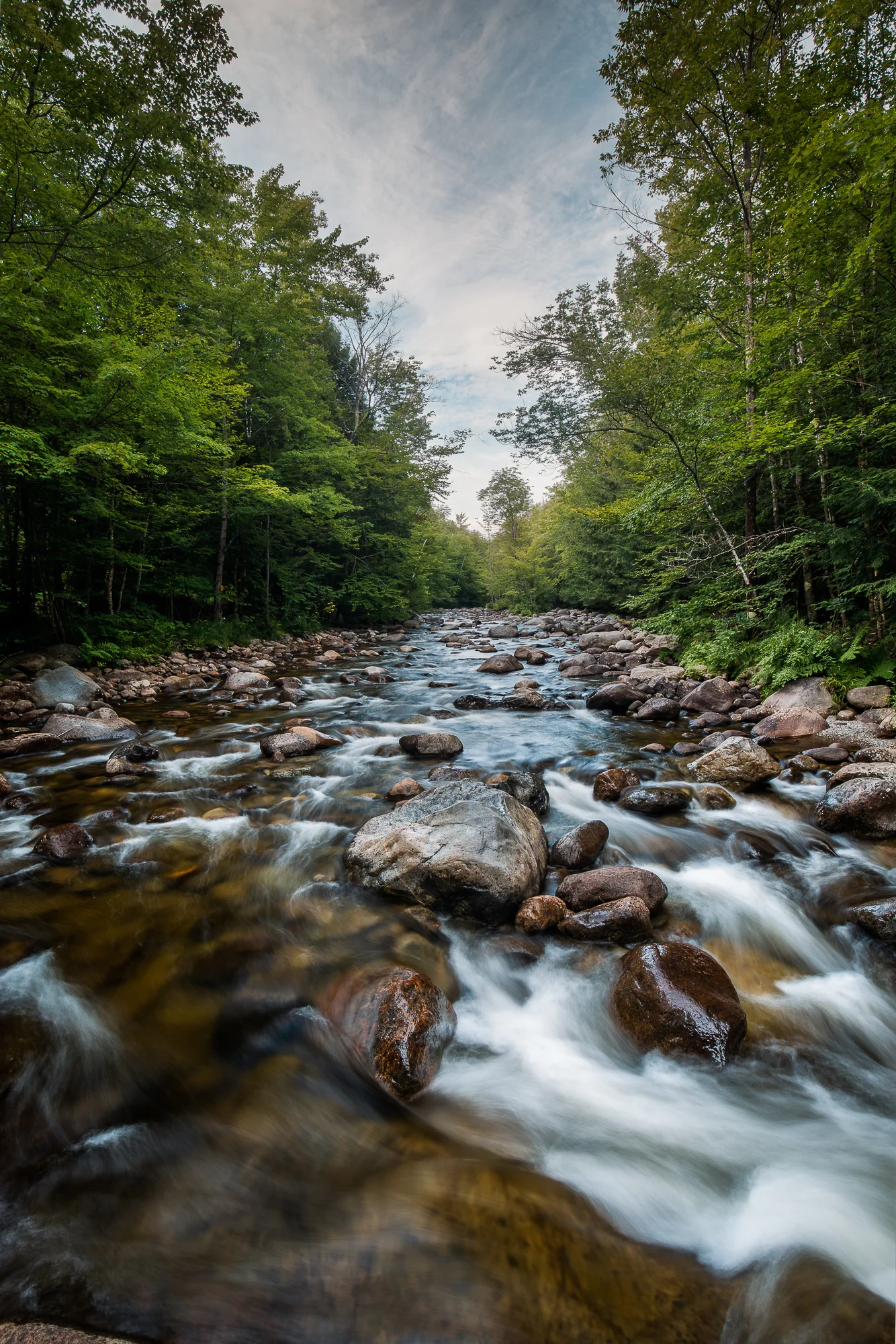 0G3A7343-Edit.JPG