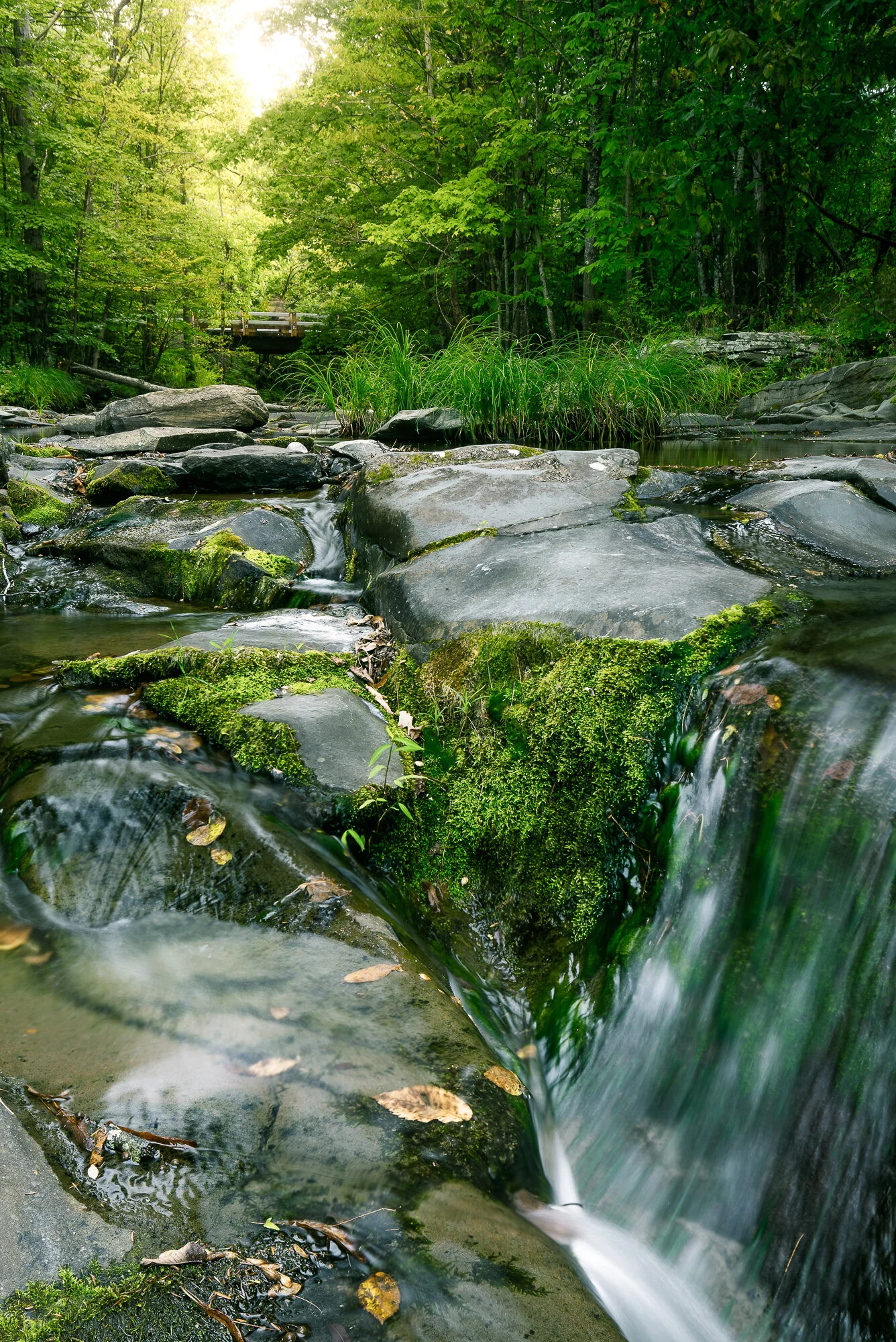 0G3A9733-Edit.JPG