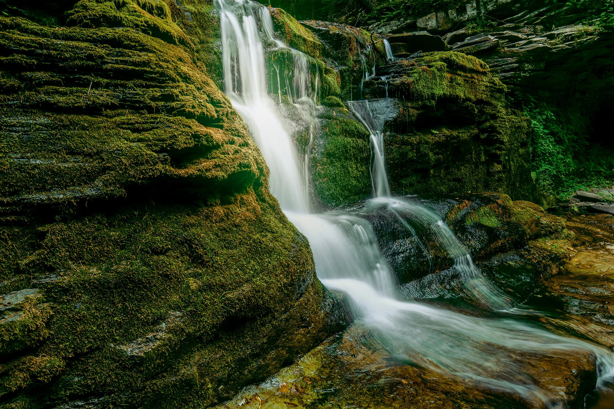 0G3A9756-Edit.JPG