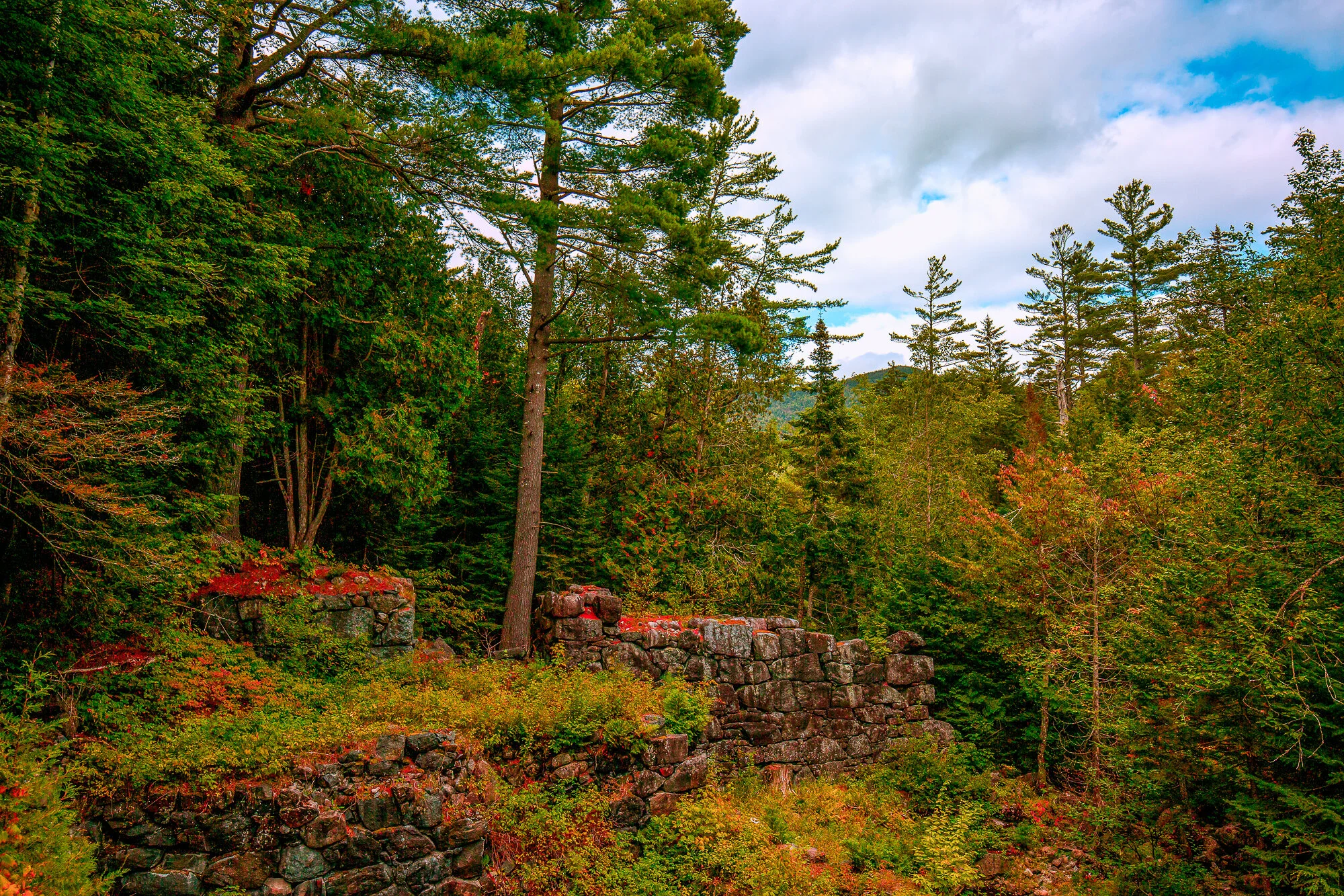 0G3A9817-Edit.JPG