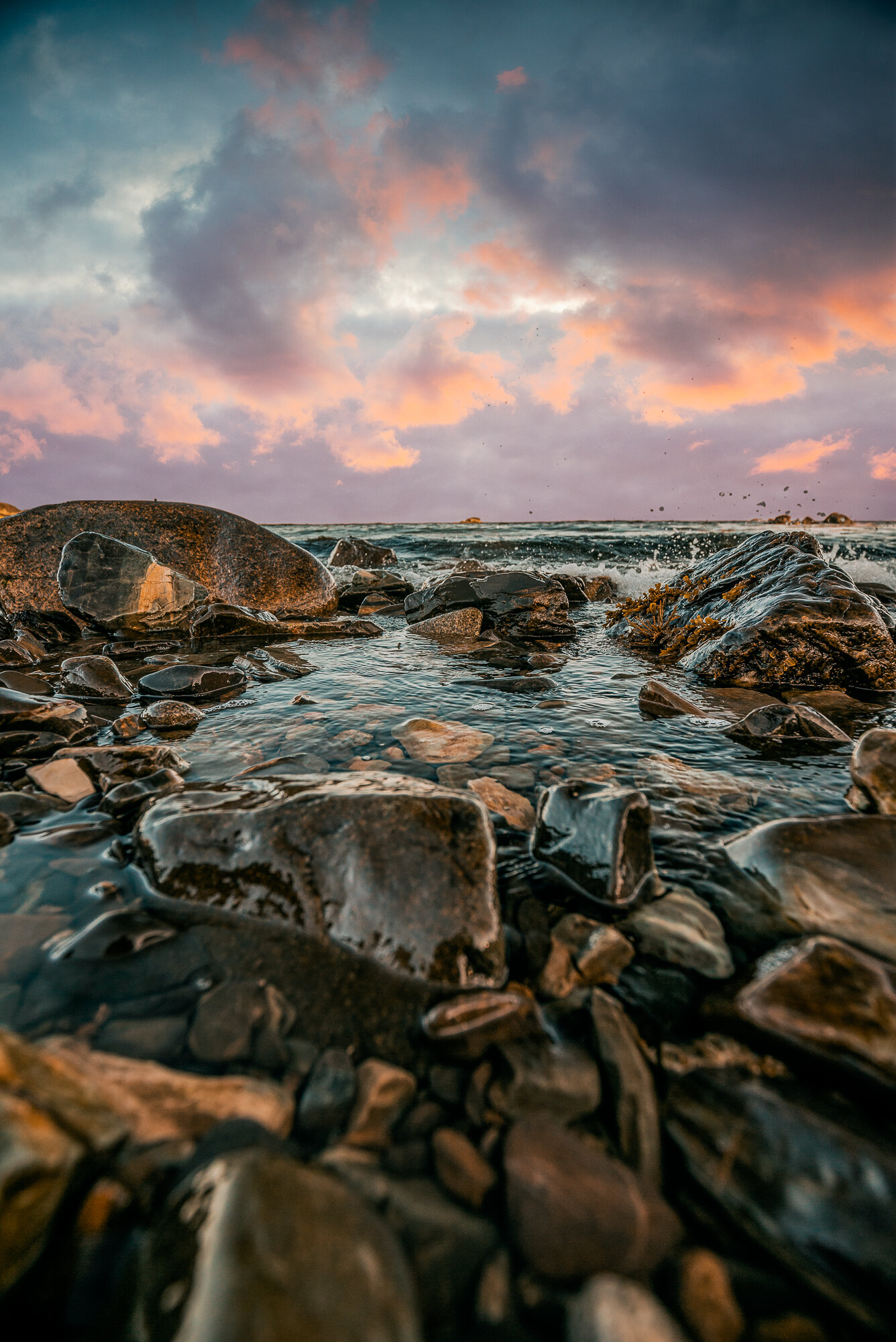 0G3A1583-Edit.JPG