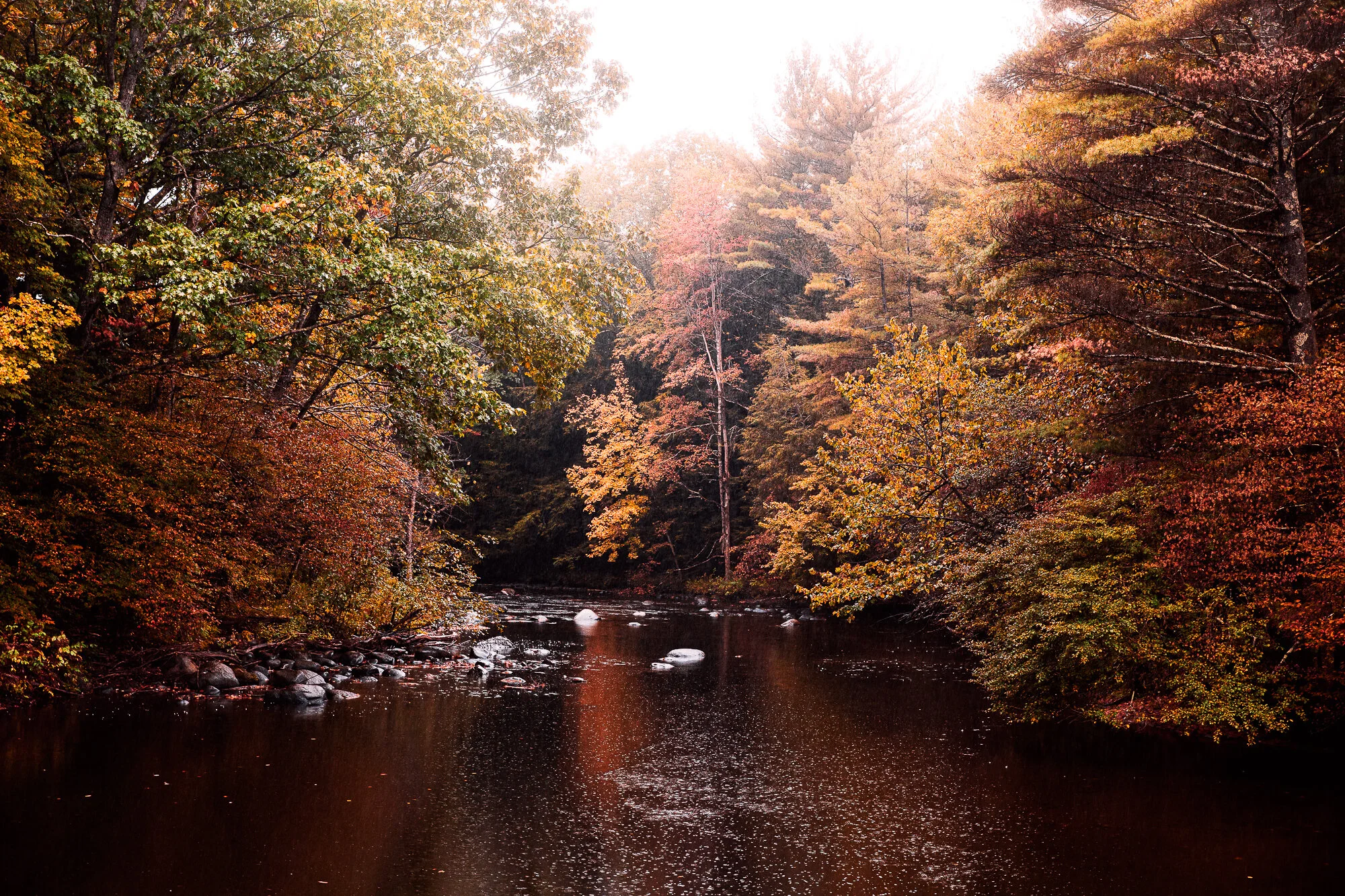 0G3A5234-Edit-2.JPG