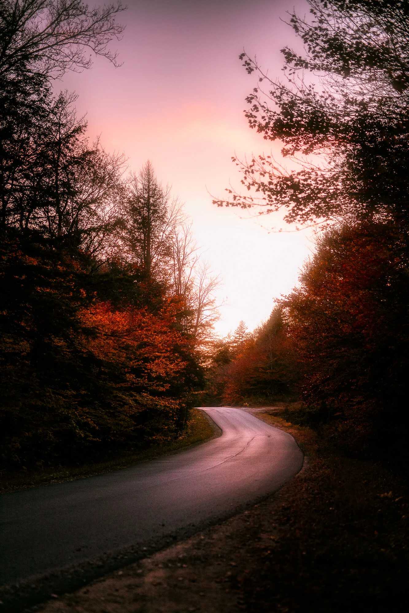0E9A1815-Edit.JPG