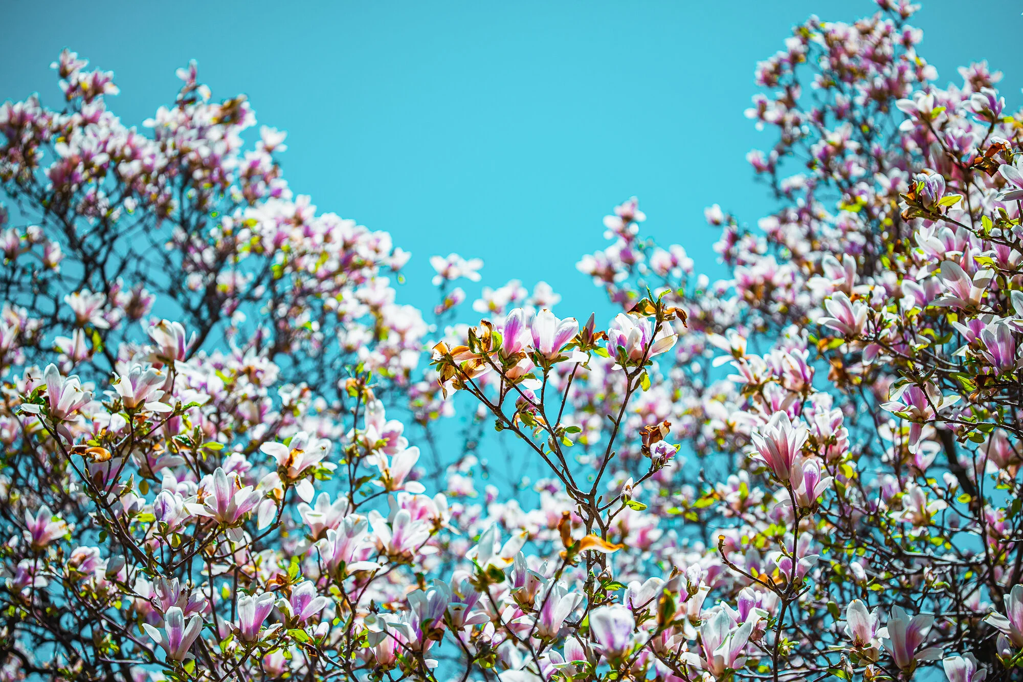 0E9A9223-Edit-2.JPG