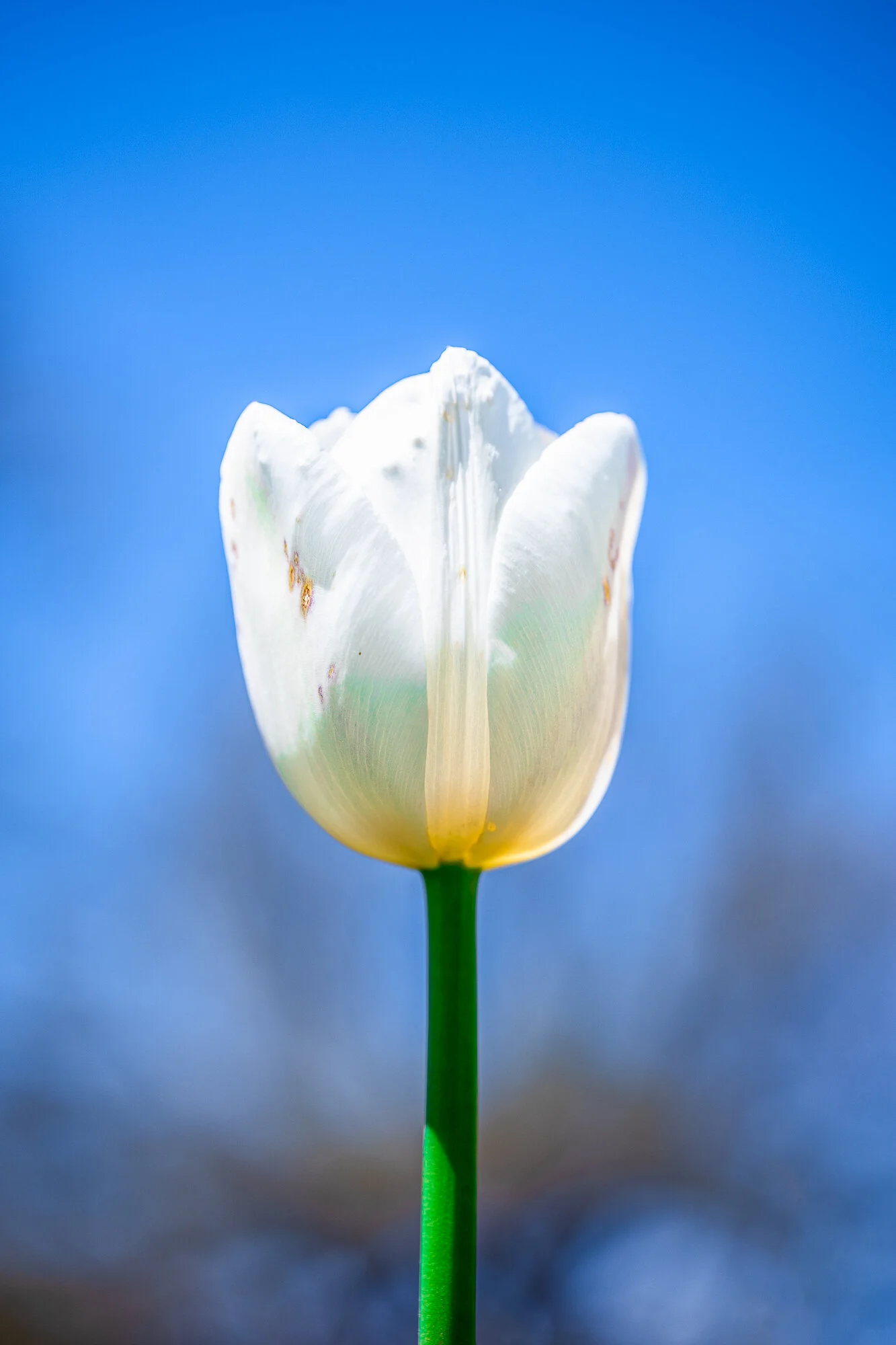 0E9A9105-Edit.JPG