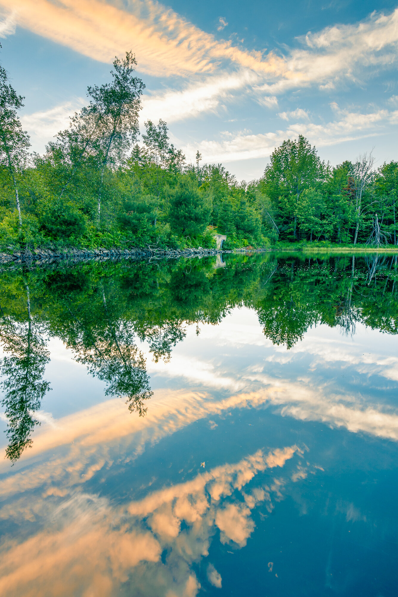 543A8646-Edit-Edit.jpg
