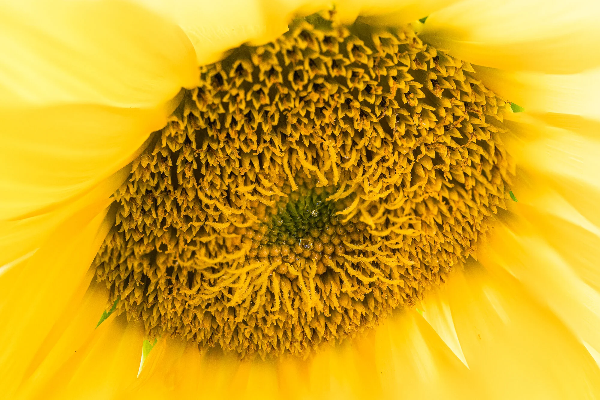 543A6483-Edit.jpg