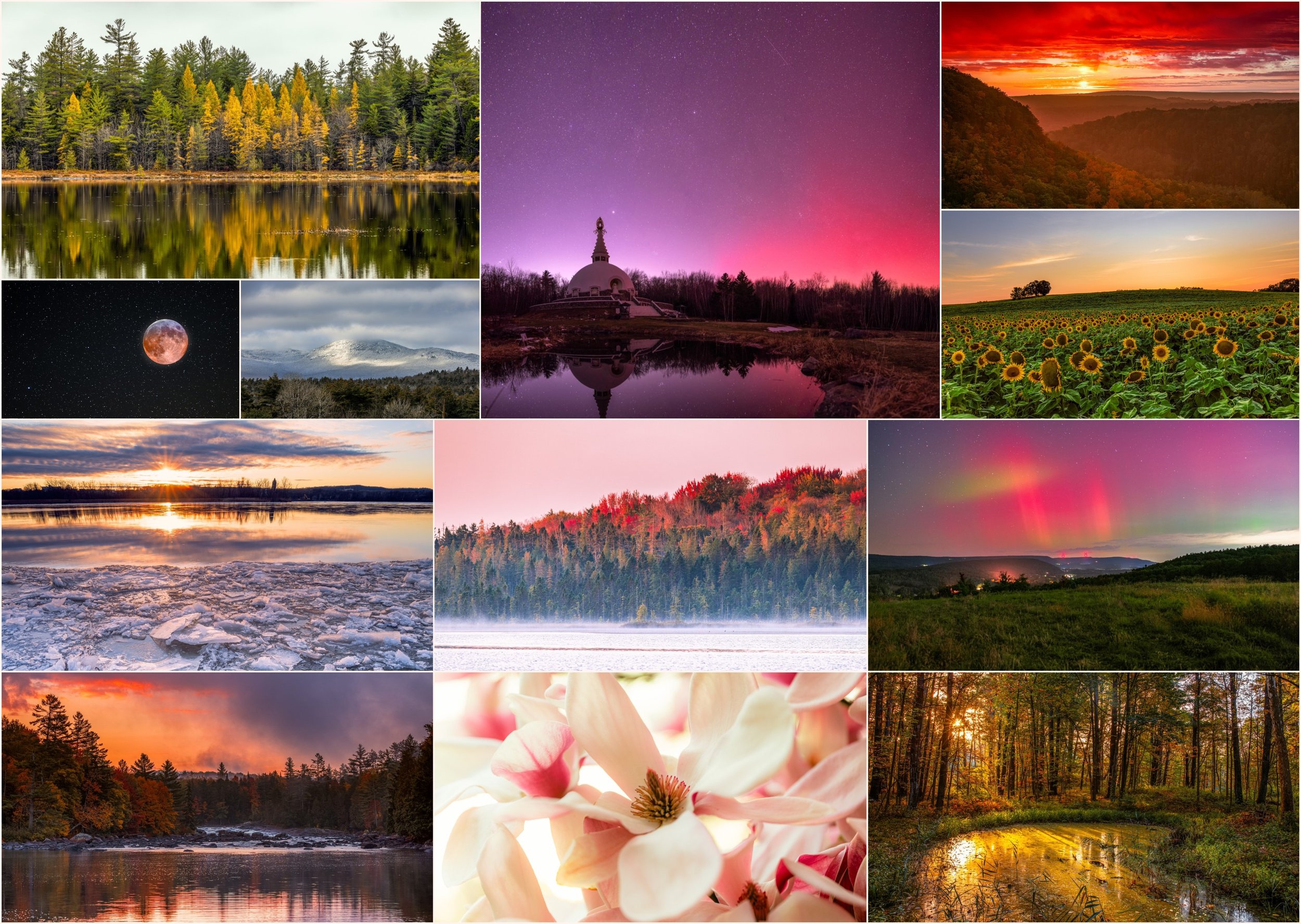 Collage_HD 2025-11-27 20_22_18.jpg