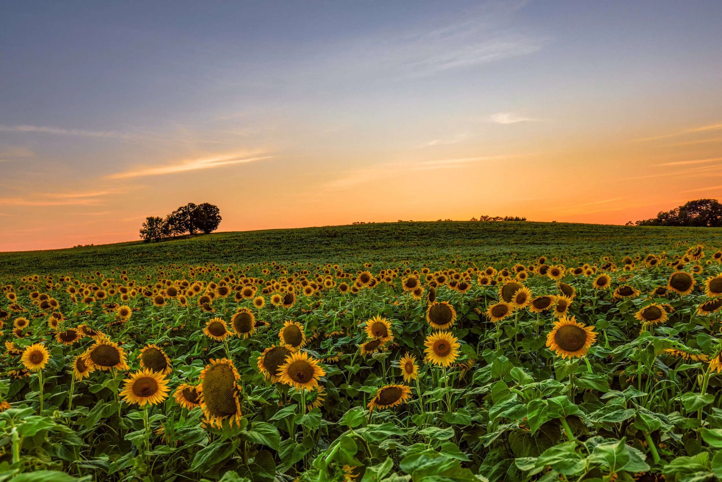 2M5A3506-Edit-Edit.jpg