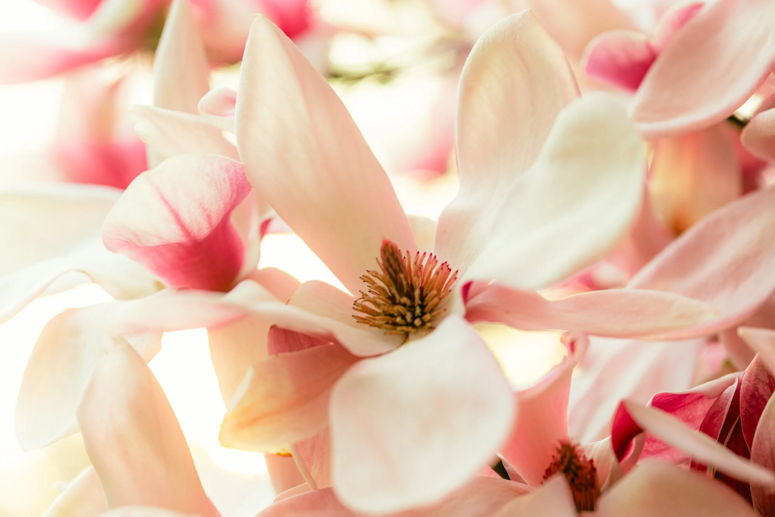 2M5A9029-Edit.jpg