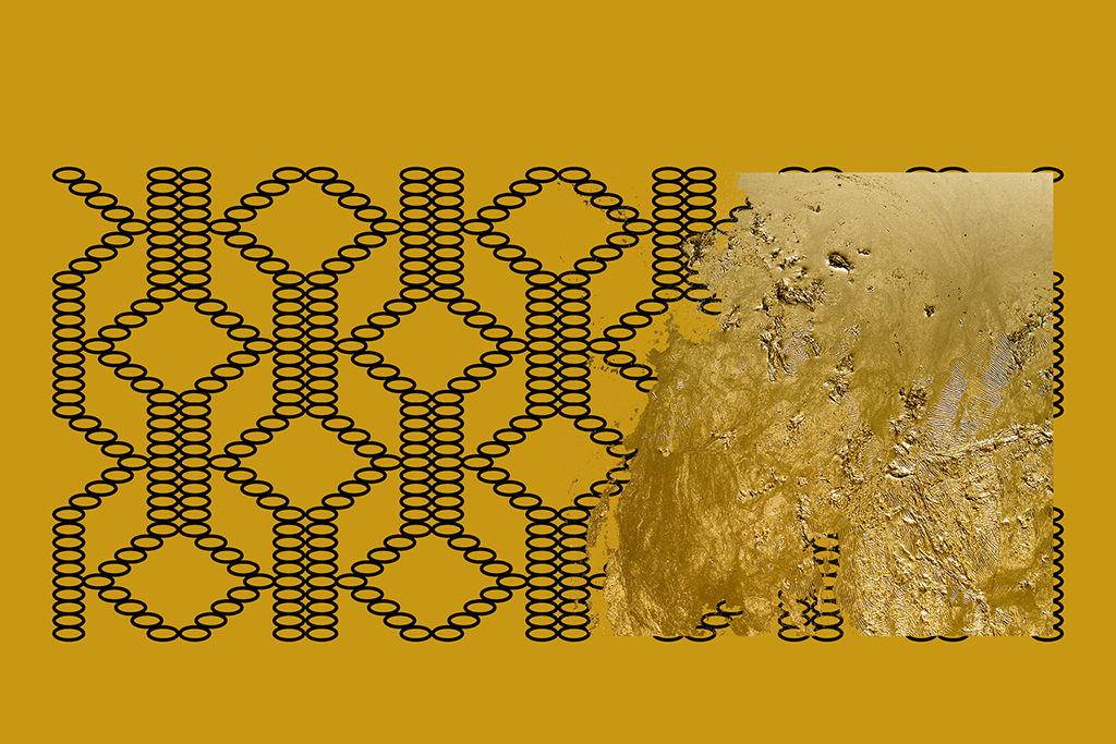 visuelwebsite.png