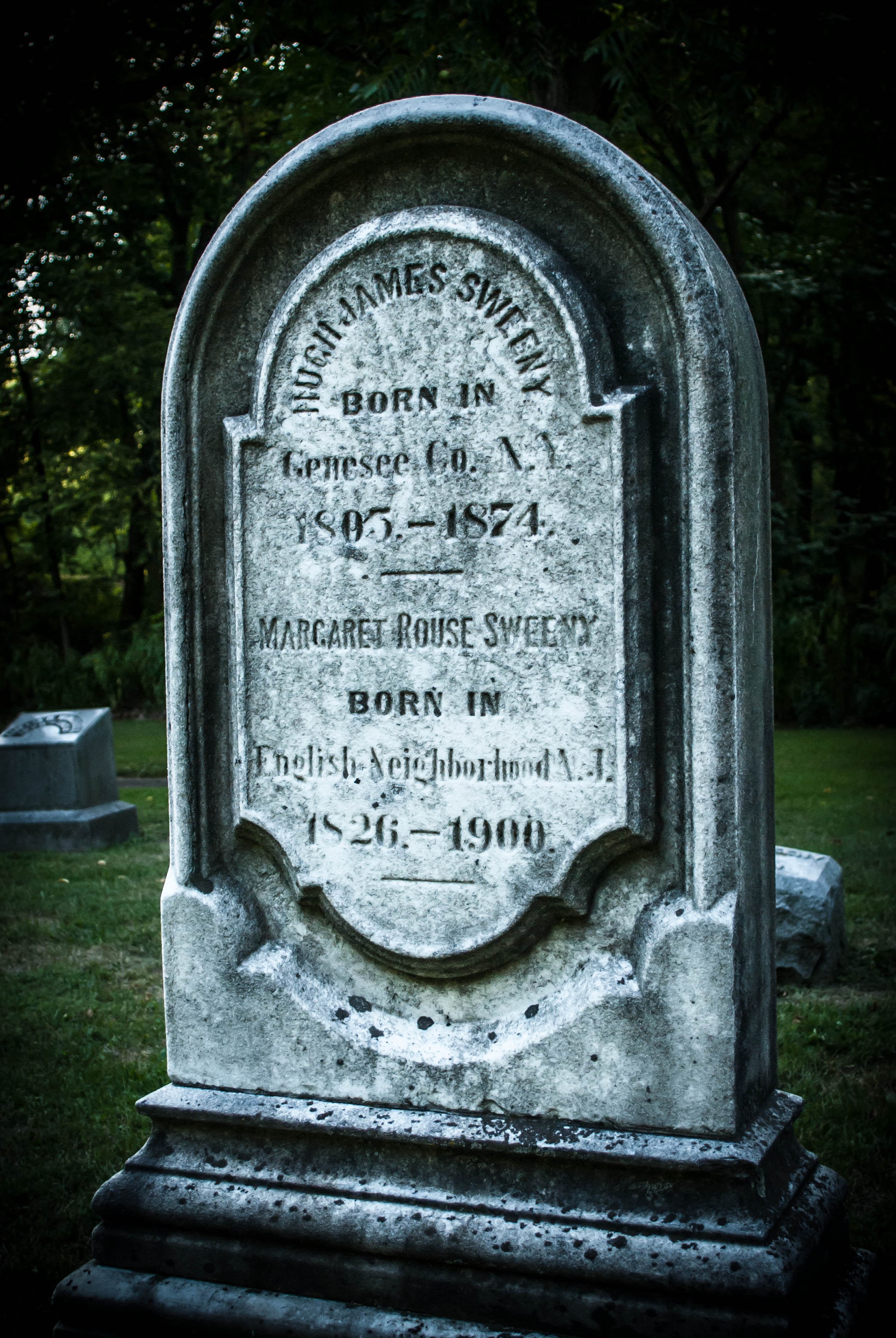 DSC_2075-1.jpg