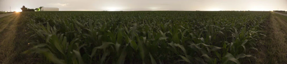 CornfieldPanoramic.jpg