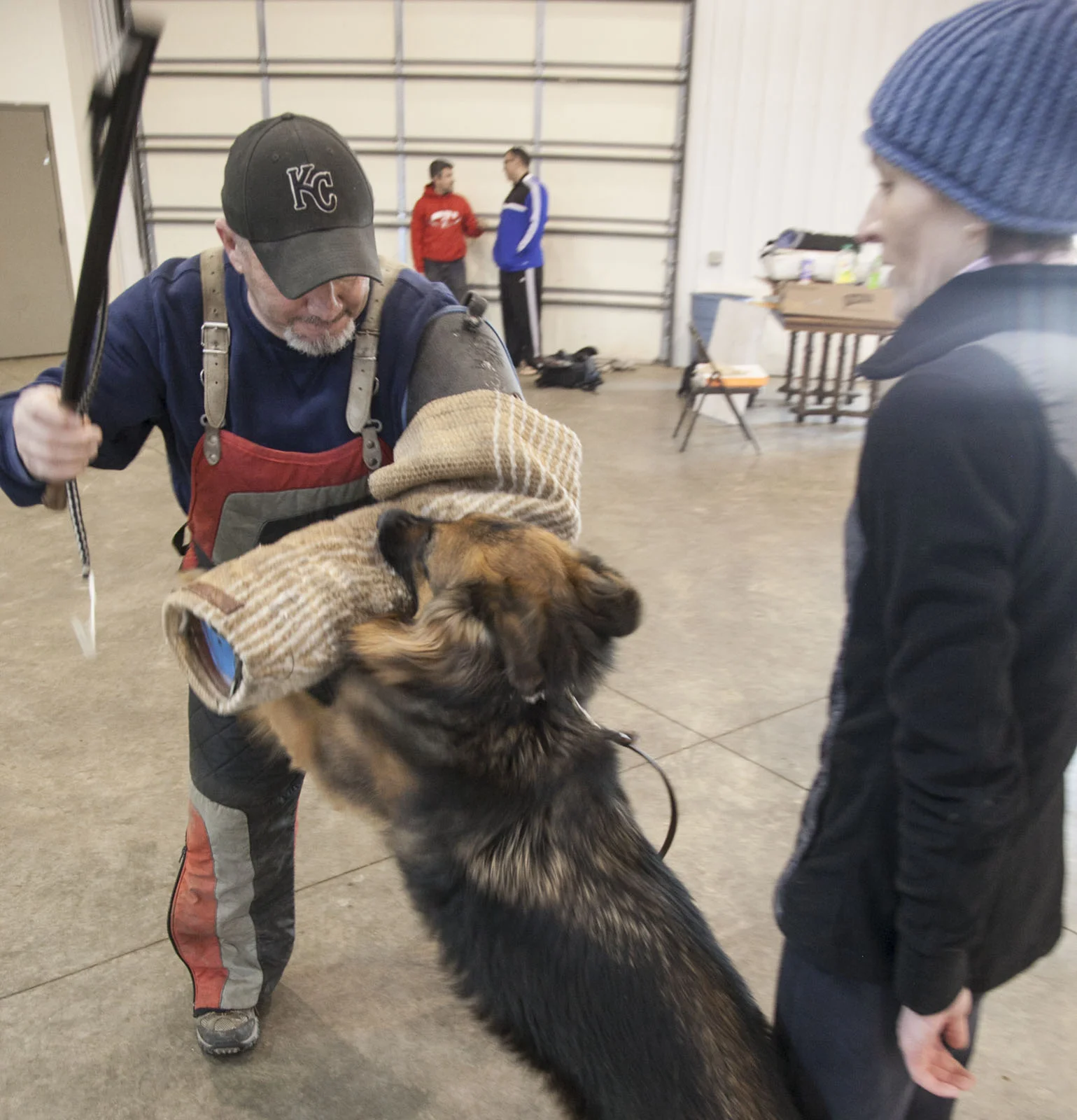 Job Dog Training213.jpg