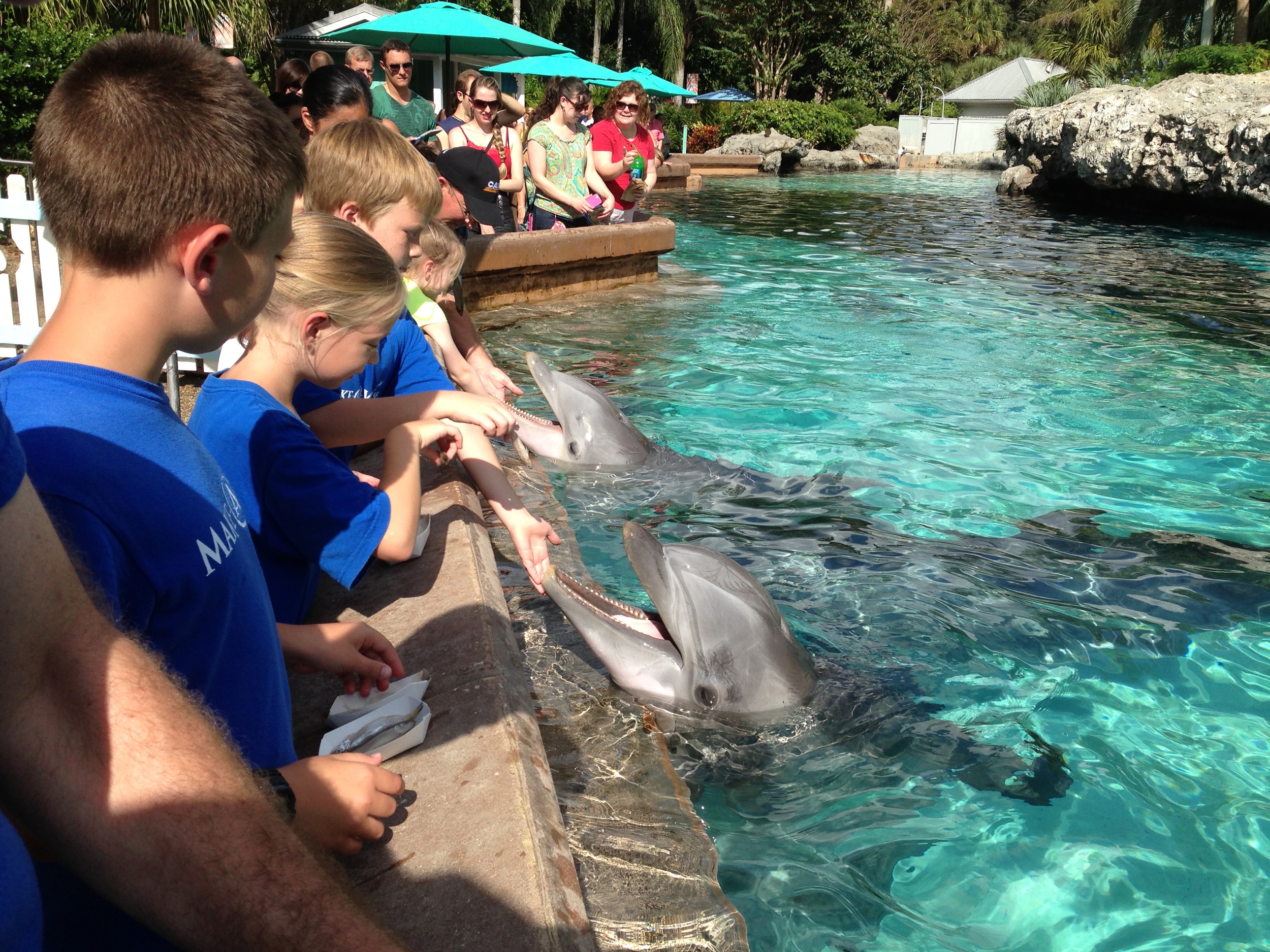 Hannah, 10 Life- threatening heart condition Wish: To go to Florida and swim with the dolphins 