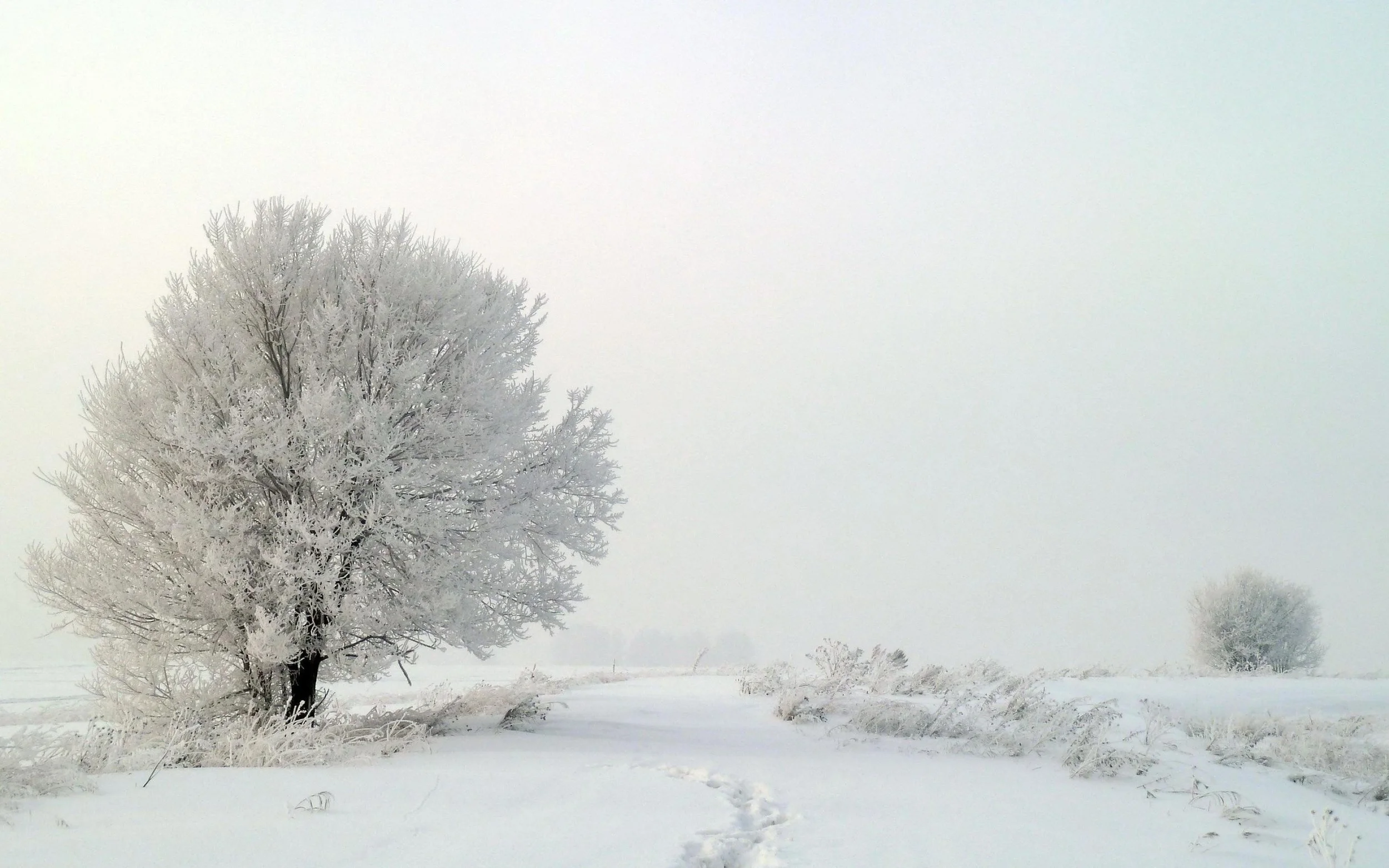 Nature´s Design . Probably one of our biggest inspirations in life,