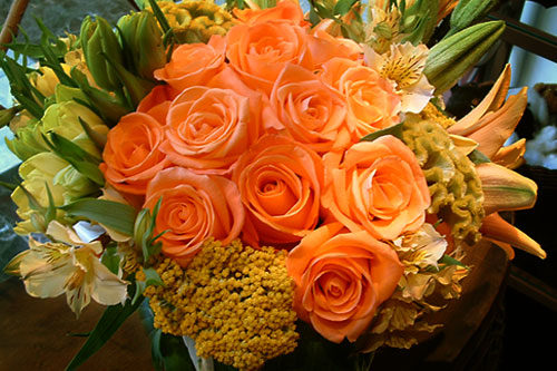 peach-roses.jpg