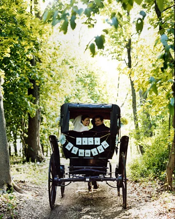 just married vintage buggy.jpg