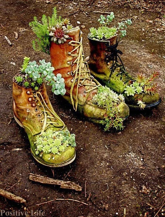If the shoe doesn’t fit, repurpose it - The Old Moss Woman