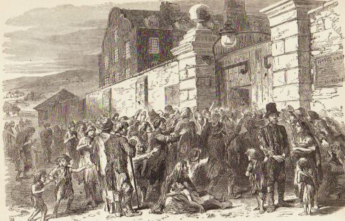 Potato Famine In Ireland