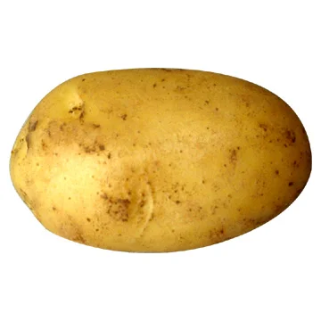 Common potato