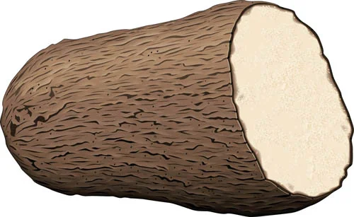 What does a yam look like? This is a yam.