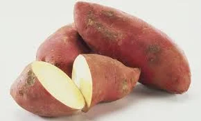 White fleshed sweet potato
