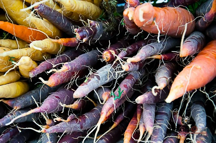 Purple, orange and white carrots - Priscilla Chan Photography © 2012