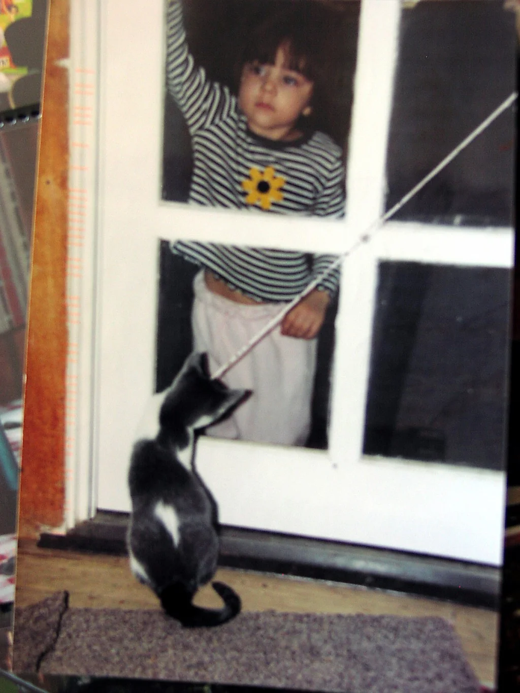 little girl at screen door with black and white cat. Just like any postcard, pictures can be vertical or horizontal. Source: Millie Kohler, CC BY-NC-ND, via special permission by Millie Kohler