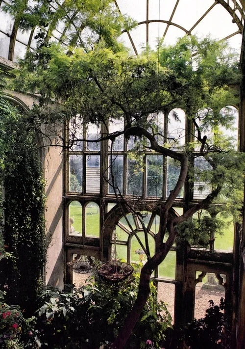 Yes, you can even do this if you have the space. This indoor garden has the perfect spot for a tree in front of the two story high window. Antique charm.
