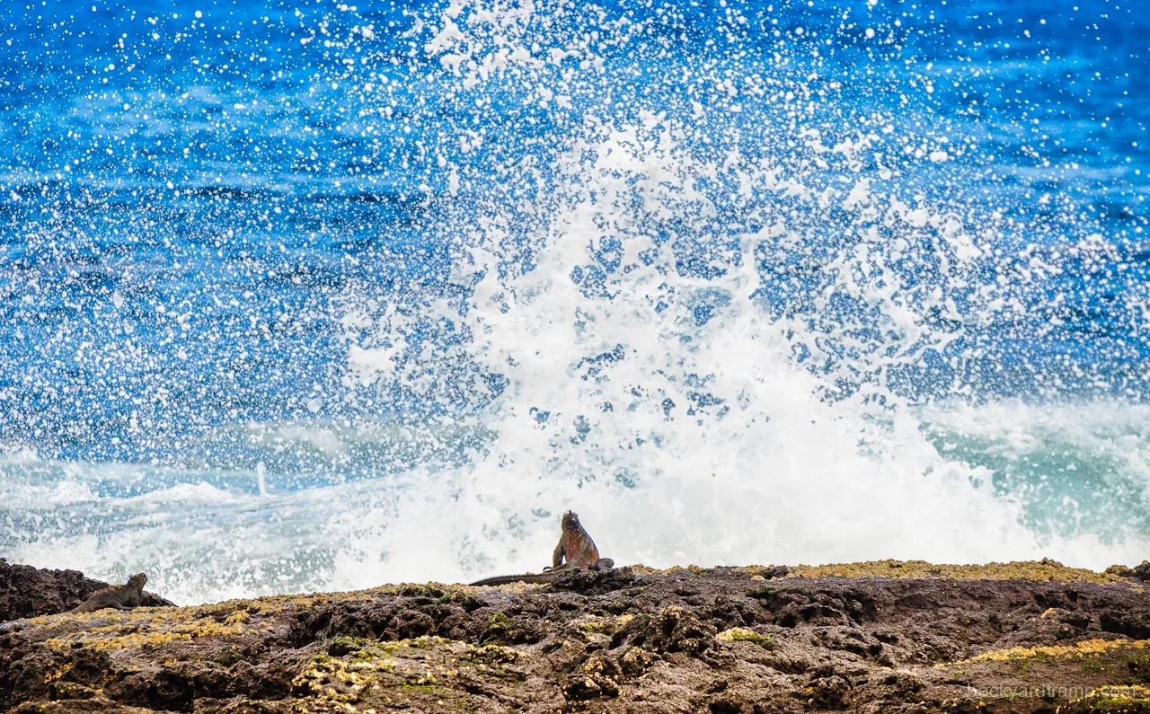 Splish splash