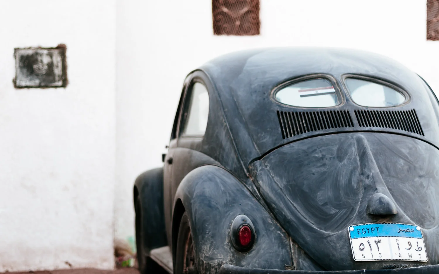 An Egyptian bug.
