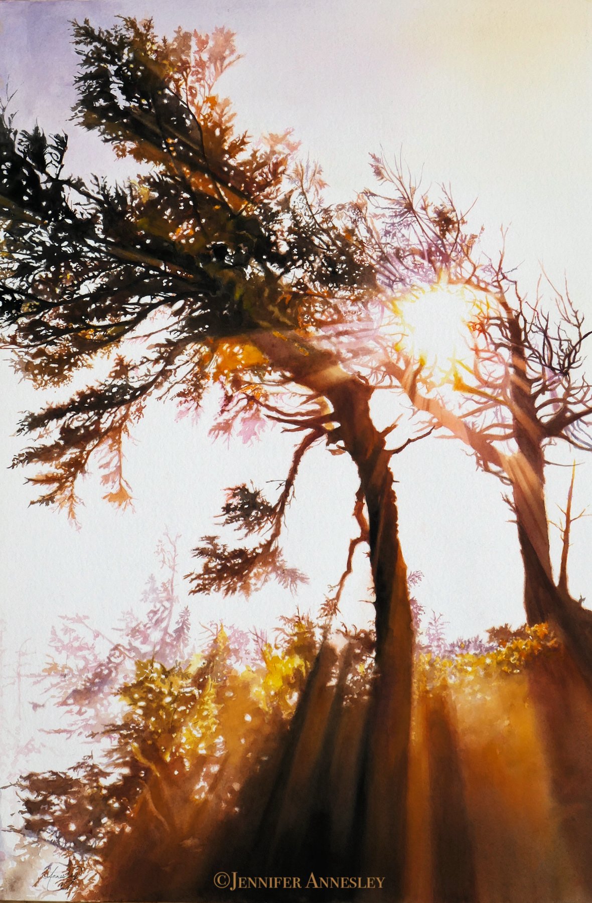 "Windswept" π΄