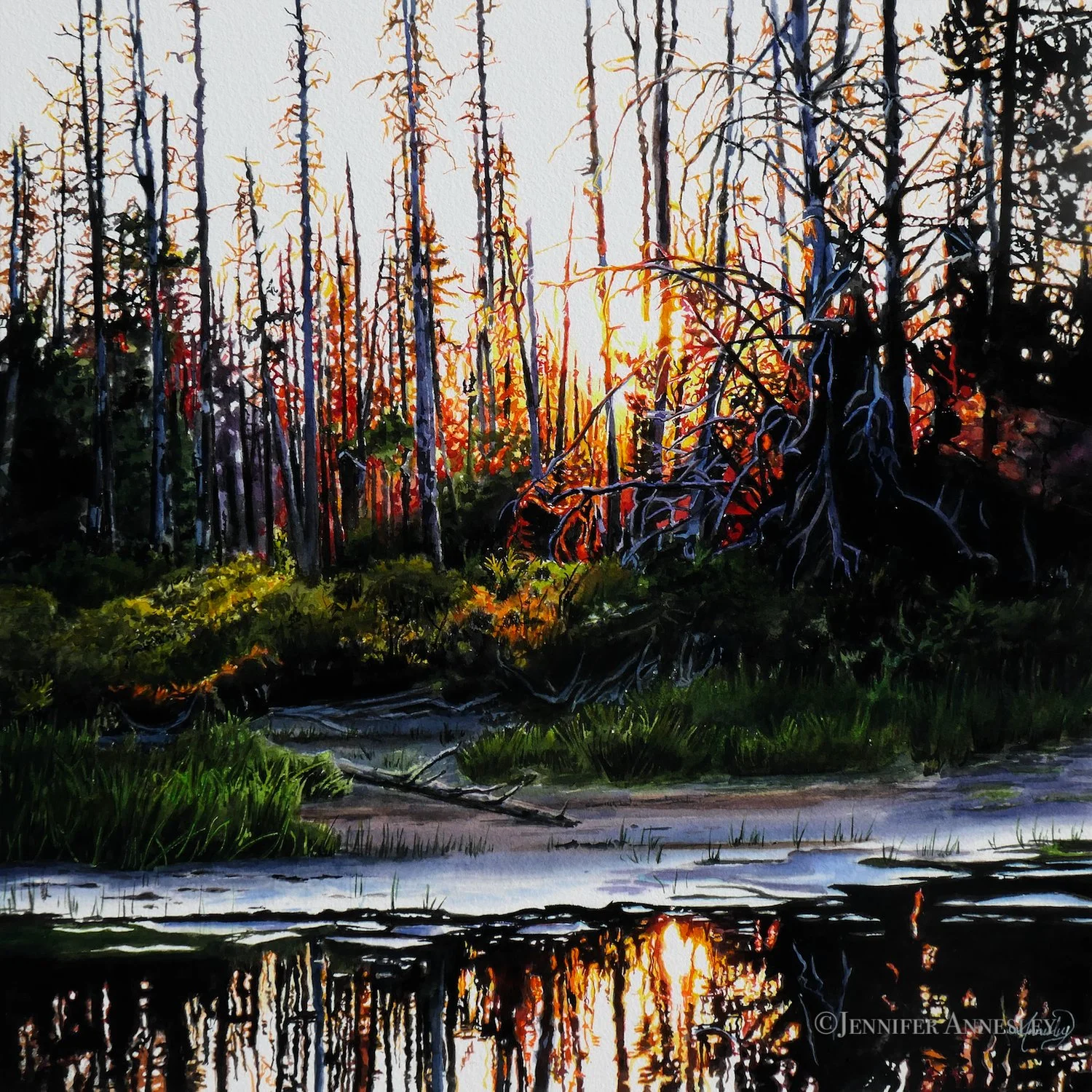 Preview # 2 "Tangled Shore"