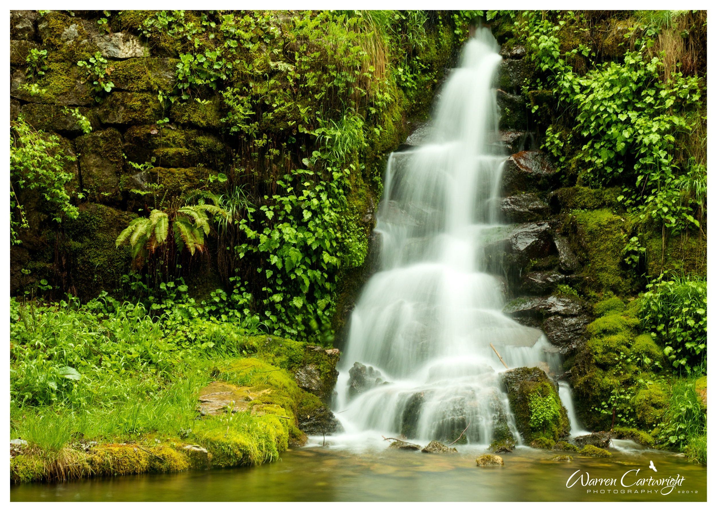 Oregon_Caves_Waterfall.jpg